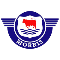 Windscreens, Side and Rear Glass for MORRIS