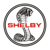 Autoglass for SHELBY