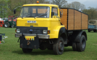 More Windscreens, Side and Rear Glass for FORD D SERIES 01/1965 TO 01/1981 - TRUCK