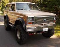 More Windscreens, Side and Rear Glass for FORD BRONCO 4WD - 3/1981 to 12/1987 - 2DR WAGON